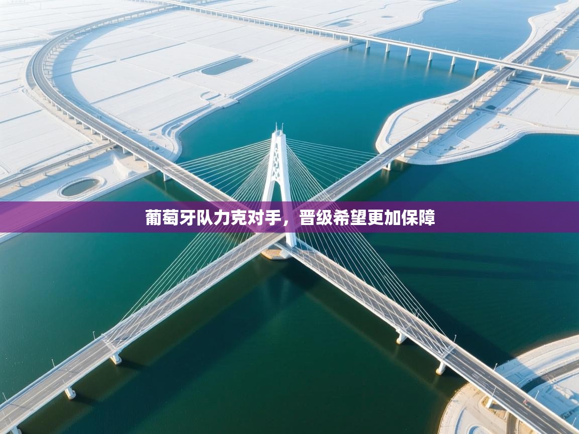 葡萄牙队力克对手,晋级希望更加保障 第1张